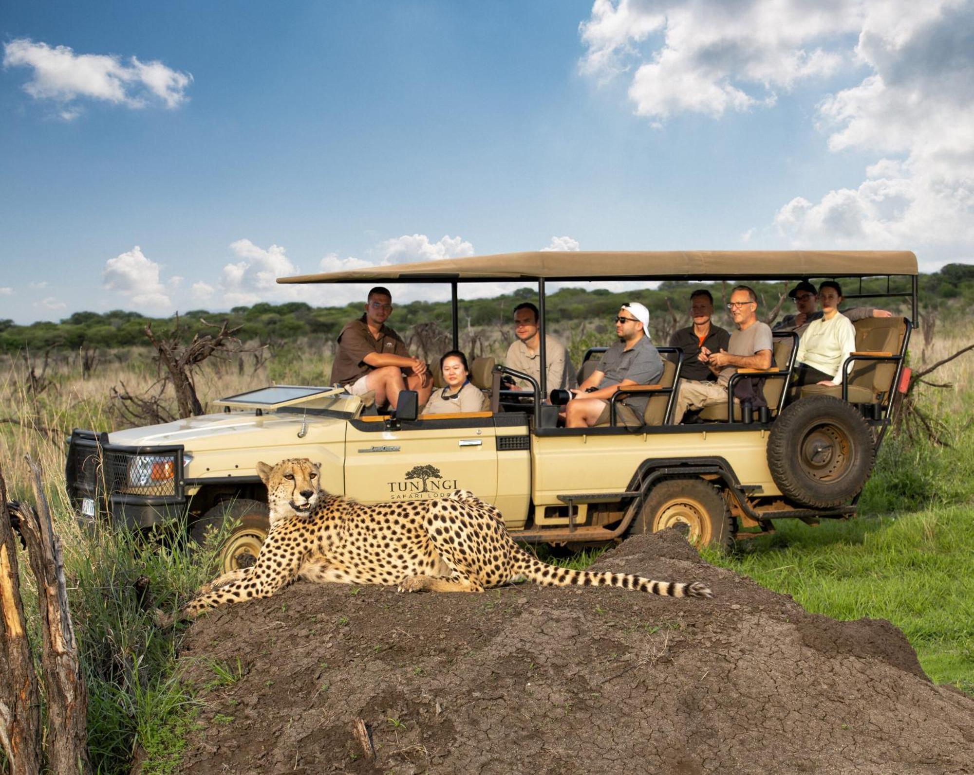 Tuningi Safari Lodge Madikwe Game Reserve Exterior foto