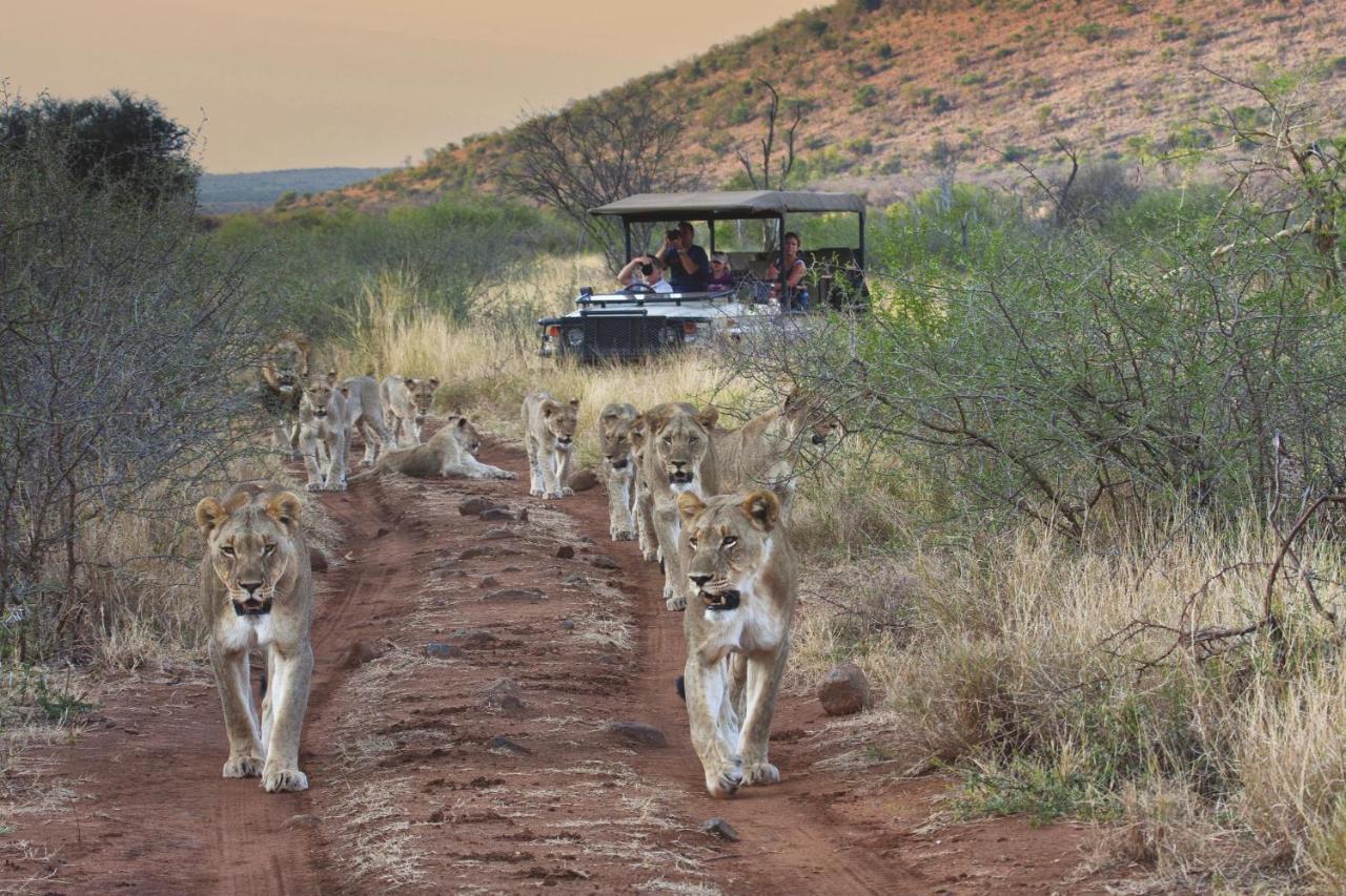 Tuningi Safari Lodge Madikwe Game Reserve Exterior foto